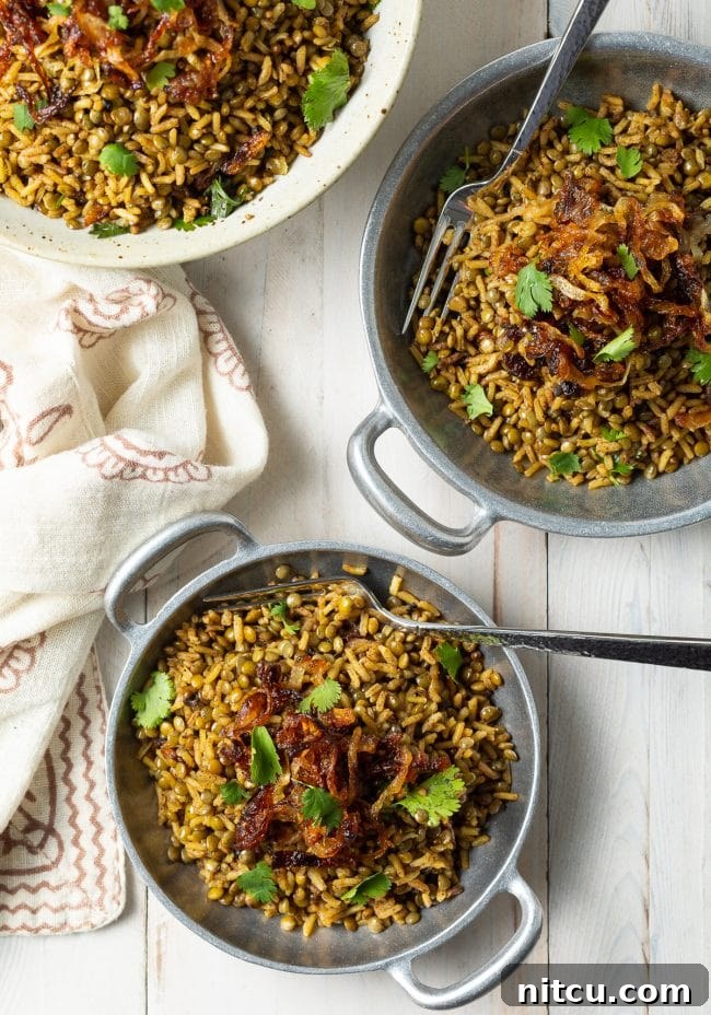 A top-down view of individual servings of Mujadara lentil and rice recipe in rustic metal bowls, ready to be enjoyed.
