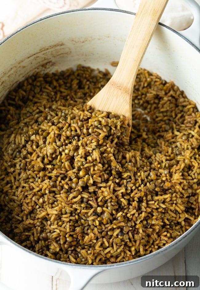 Lentils and rice simmering together in a large pot, absorbing the rich broth and spices.