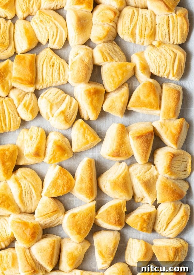 Bake the biscuit pieces