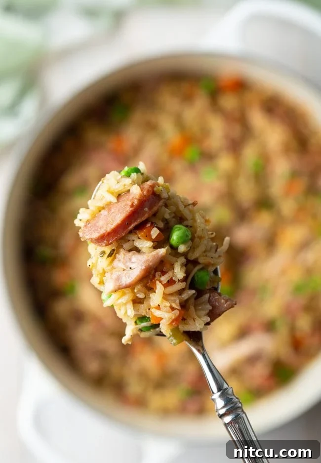 how to make southern chicken bog with sausage - bite shown on spoon