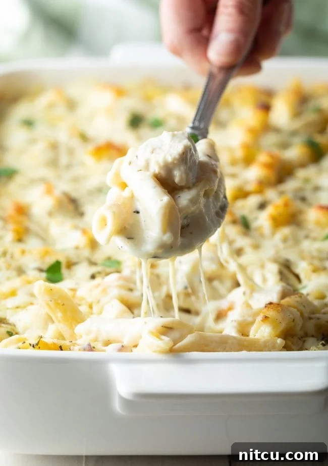 Hand holding spoonful of cheesy chicken alfredo pasta bake to camera, showcasing creamy texture and melted cheese.