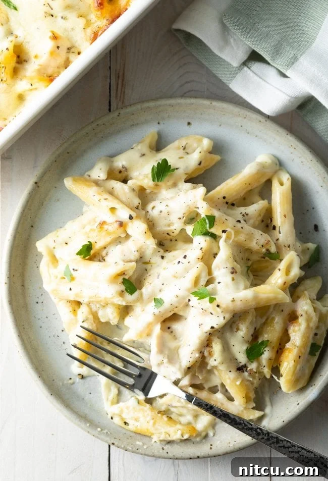 Top down view of a generous serving of cheesy chicken alfredo pasta bake on a white plate with a fork.