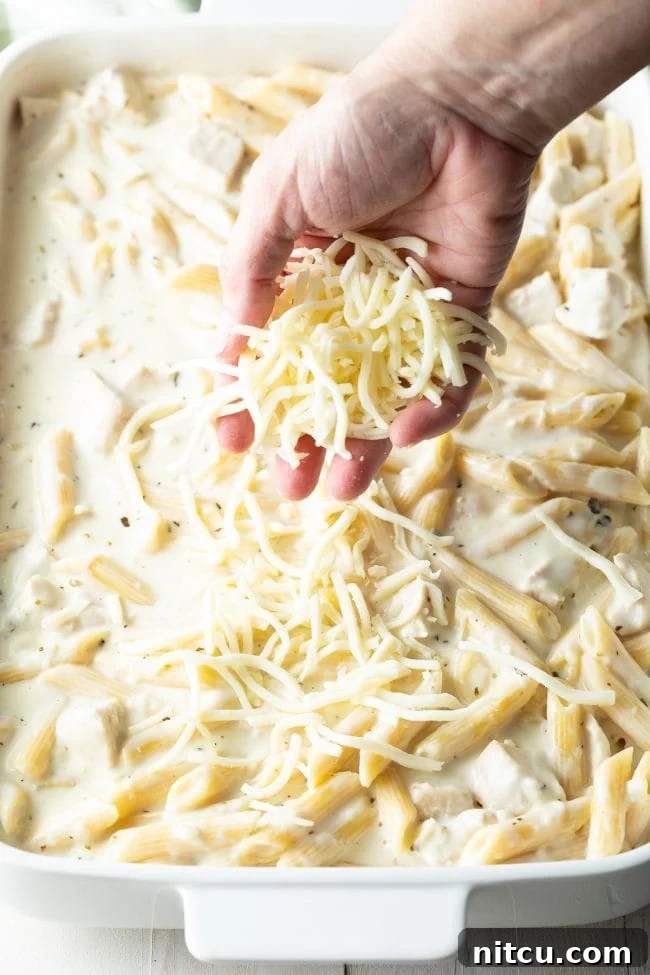 Hand adding shredded mozzarella cheese on top of the chicken Alfredo casserole before baking.