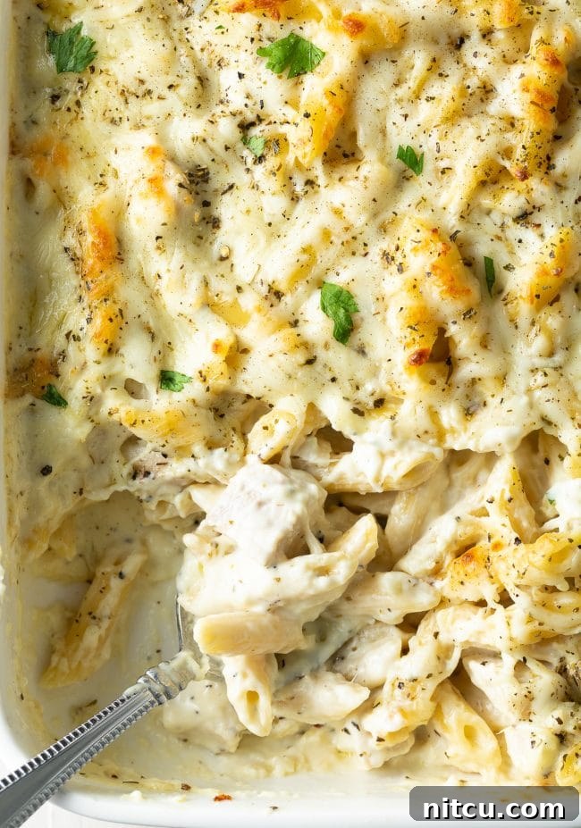 Top down view of baked chicken and cheese Alfredo pasta, with a metal spoon scooping away a serving from the baking dish.