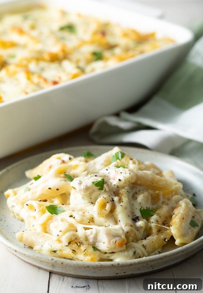 Plate of cheesy chicken Alfredo bake on a white plate, showing the rich texture and topping.