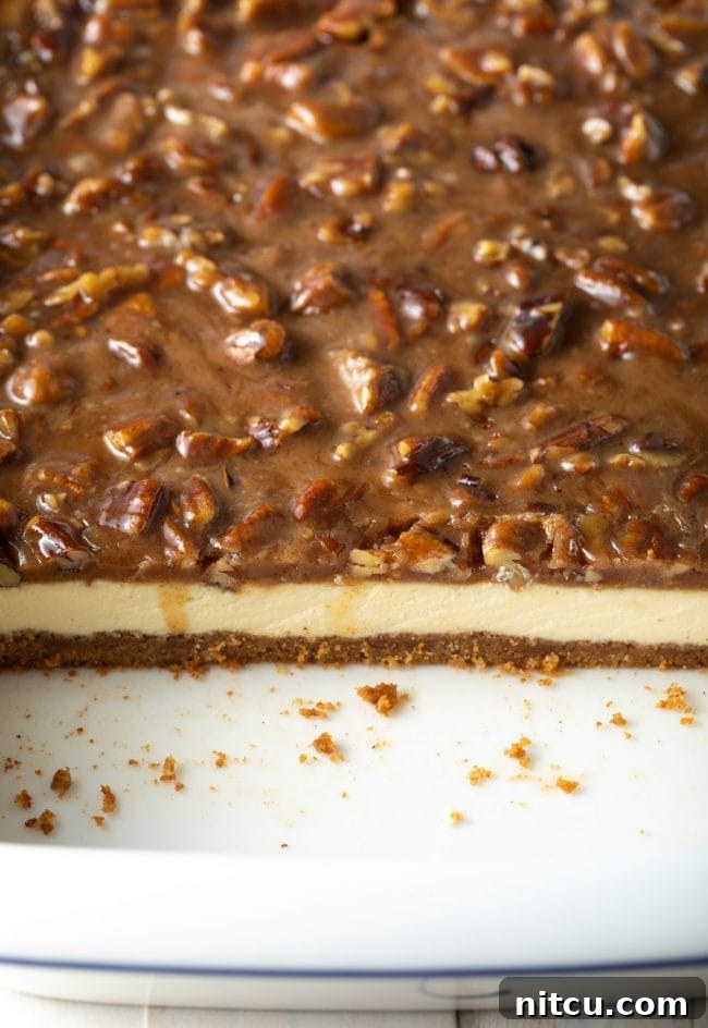 Side view of Pecan Pie Cheesecake bars, showing the distinct layers of crust, cheesecake, and pecan topping.