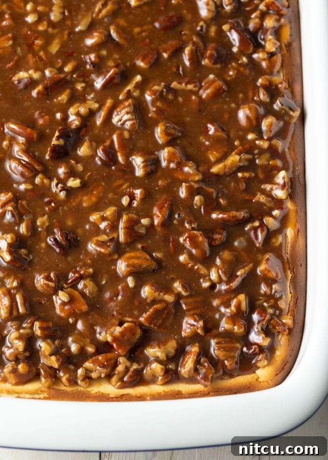Overhead view of a baked Pecan Pie Cheesecake in a rectangular baking dish, with the golden-brown pecan topping visible.