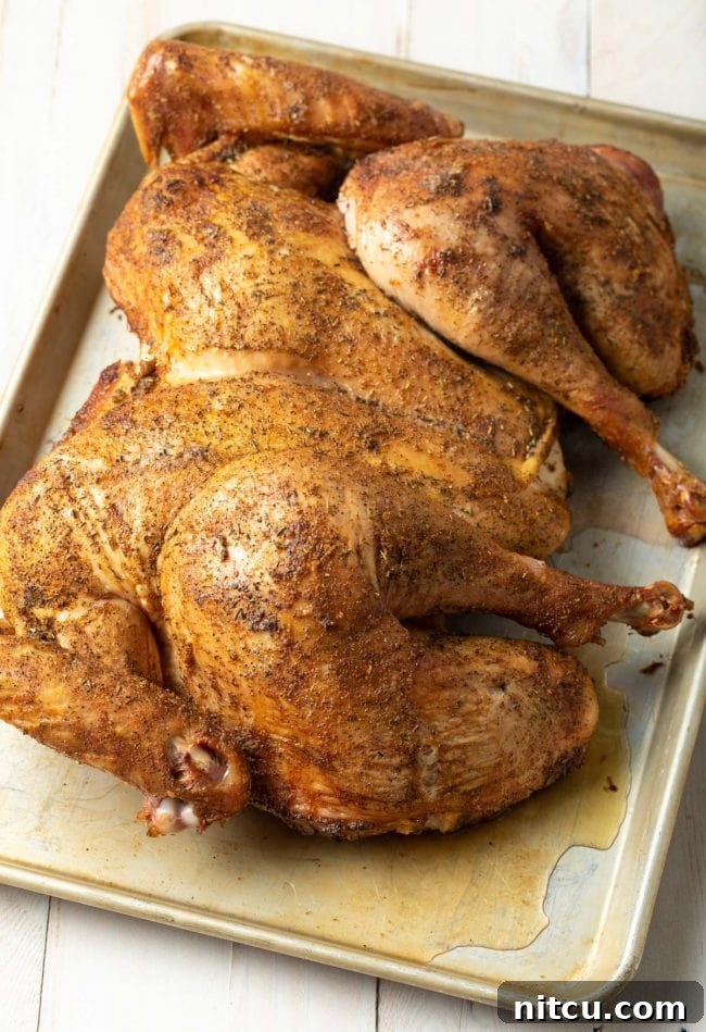 spiced roasted whole turkey recipe - spatchcock recipe whole turkey on tray