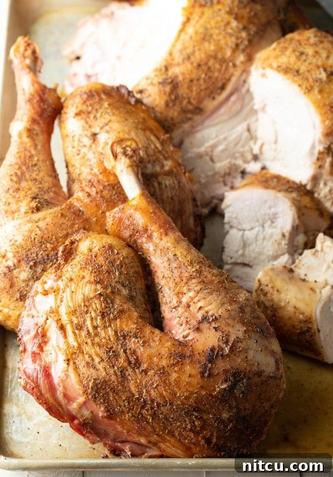 A close up of a turkey leg.