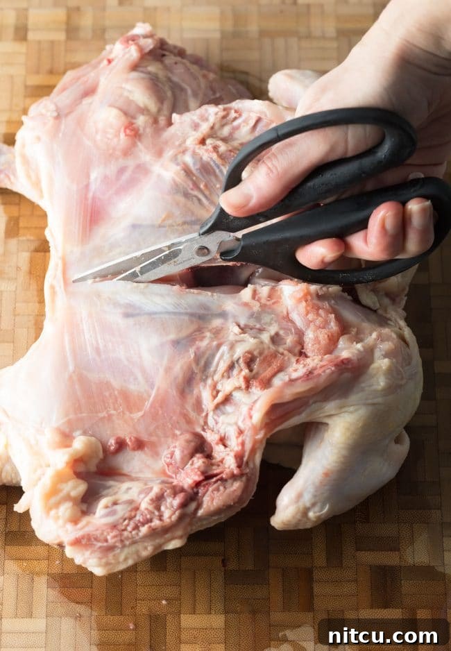 A hand using scissors to cut a turkey.