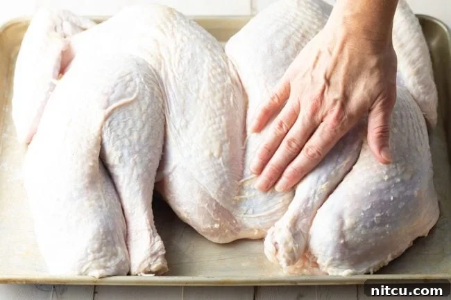 A hand placing a spatchcocked turkey onto a baking sheet.