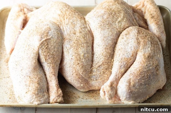 A raw turkey on a baking sheet.