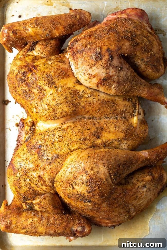 smoked spatchcock turkey recipe with crispy skin on pan