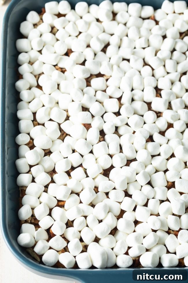 marshmallows