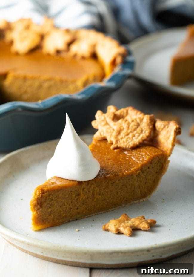 Slice of pumpkin pie on a plate with a dollop of whipped cream on top. 