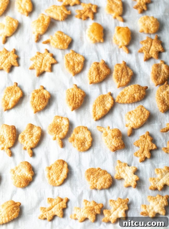 Pie crust made into leaf shapes. 