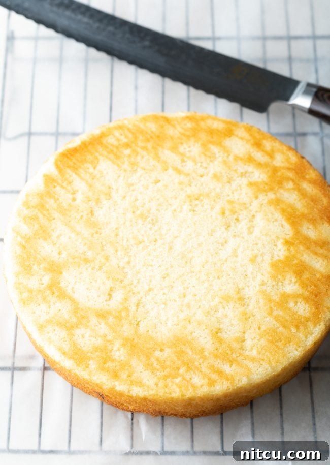 A serrated knife is used to level and carefully cut a baked cake into uniform layers, a key step for stacking a Southern caramel cake.