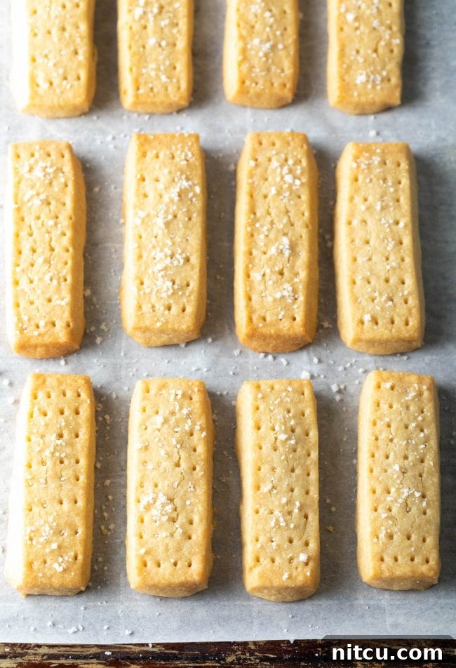 Overhead shot of rectangular shortbread cookies sprinkled with sea salt.
