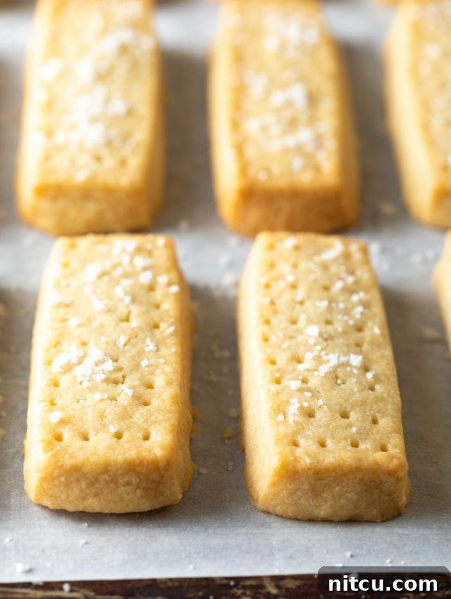 Close up shot of two shortbread cookies on a baking sheet.