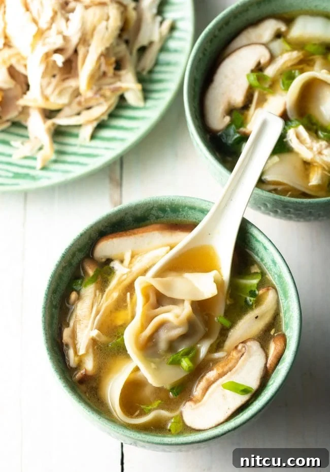 Overhead shot of a delicious homemade Wor Wonton Chicken Soup in a bowl, garnished beautifully.