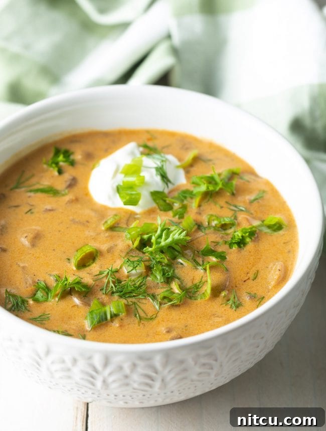 Close-up view of a steaming bowl of homemade Hungarian Mushroom Soup, garnished with fresh dill.