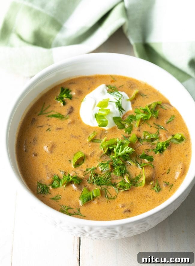 Bowls of gluten-free, vegan-friendly cream of mushroom soup, garnished with fresh herbs.