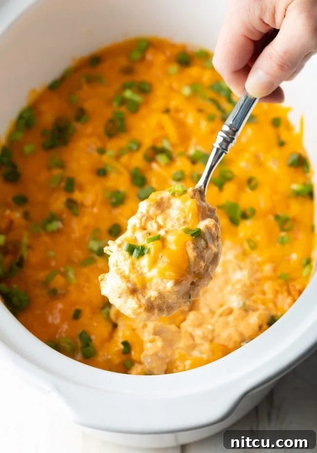 slow cooker buffalo chicken dip