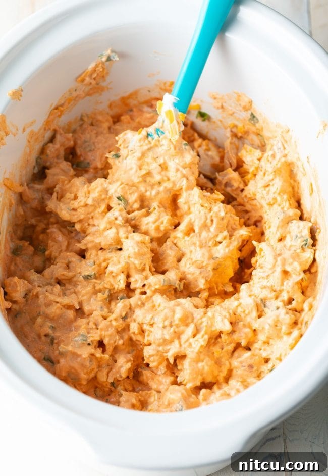 cheesy slow cooker chicken dip