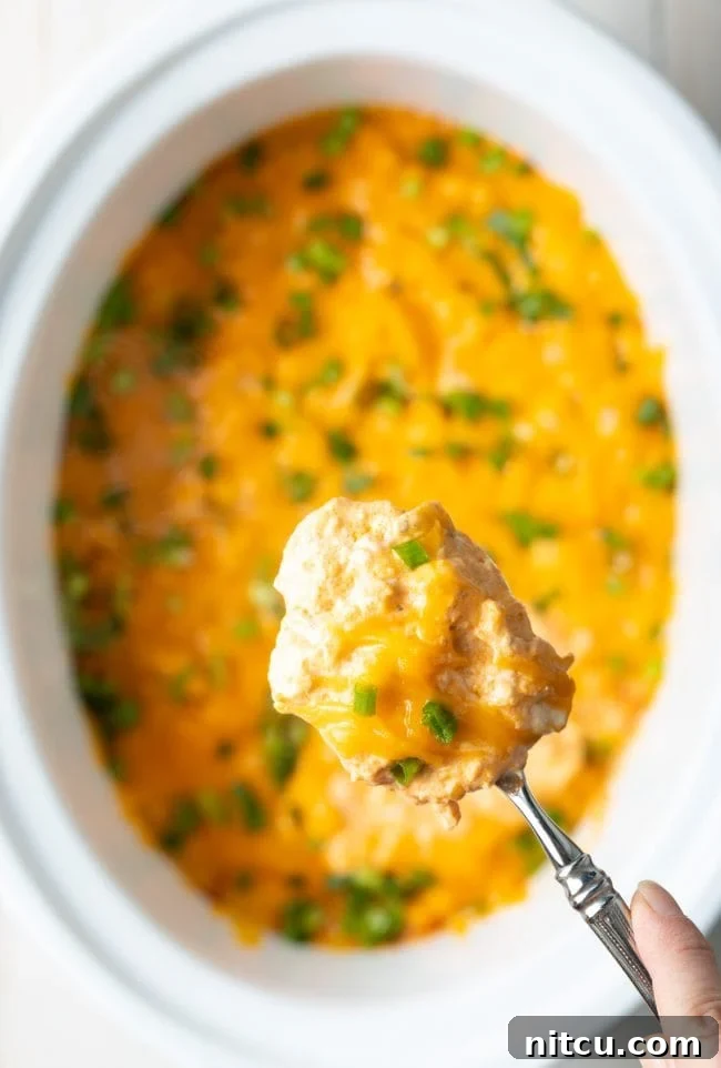 Keto and low carb snack for all to enjoy

frank's redhot buffalo chicken dip keto recipe