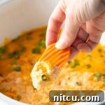 frank's redhot crockpot buffalo chicken dip recipe