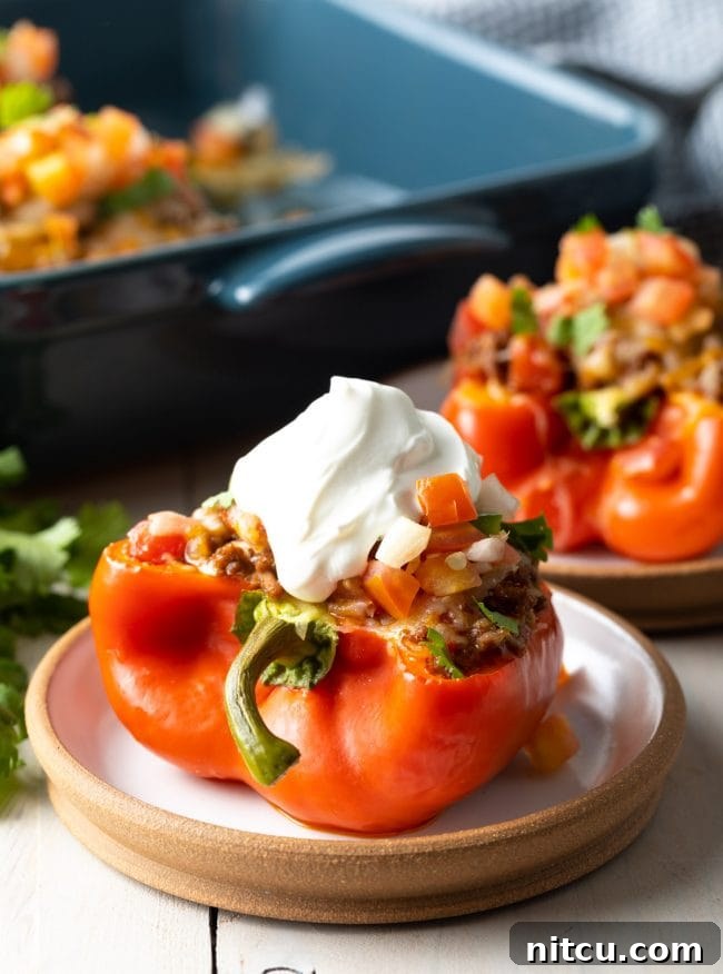 keto taco stuffed peppers on small white plate with toppings over pepper