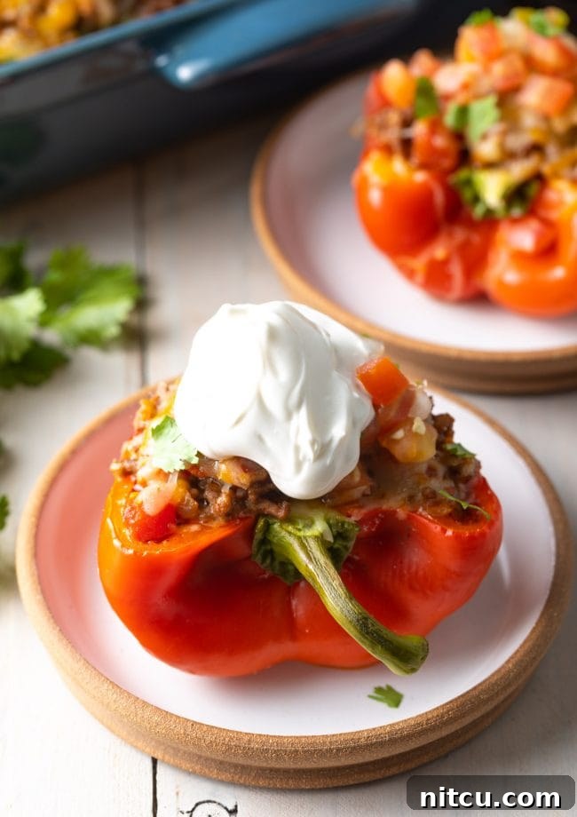 stuffed bell peppers with sour cream