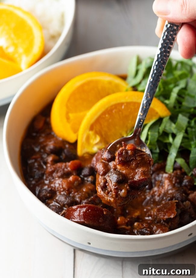 Bowl of pork and black bean stew with a spoon holding a spoonful of the stew.