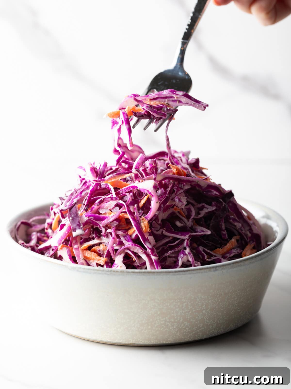 A fork is holding a bite of red cabbage slaw above a bowl of the cabbage slaw recipe.