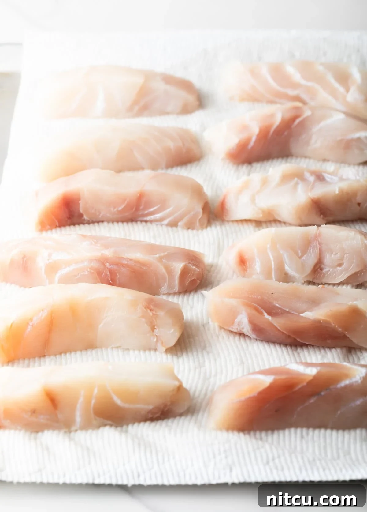 Raw fish filet pieces sitting on white paper towels.