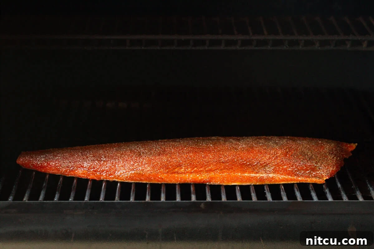 A whole fillet of salmon is sitting on a metal smoker grate, being prepared for an easy smoked salmon recipe.